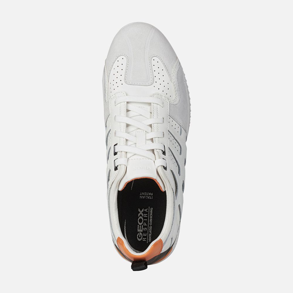 Tenis Geox Homem Branco - Snake.2 - PBWYD7058